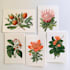 paint watercolor flowers and botanical illustrations