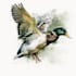 draw a scientific illustration