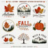 do embroidery digitizing, left chest, jacket back, cap, 3d puff designs