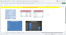 do data entry, data cleaning, dashboard and pivot tables