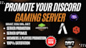 promote your discord server, minecraft server fivem server, dayz and rust server