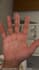 palmistry and numerology futter predicter