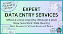 do expert data entry, ms excel, and virtual assistant work