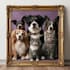 create a custom pet portrait, dog portrait cat portrait