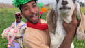 wish african happy birthday video or funny happy birthday video africa