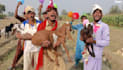 wish african dance happy birthday video and african happy birthday