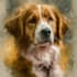 draw realistic pet dog, cat portrait