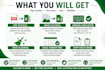 convert pdf, scanned pdf, image to excel manually