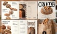 design a professional brochure