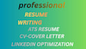craft a professional executive resume and CV