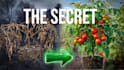 design eyecatching gardening video thumbnails