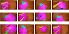 do semantic, instance, and panoptic segmentation