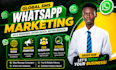 build klaviyo flows email marketing, whatsapp marketing to boost shopify sales