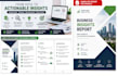 analyze business data and deliver actionable insights