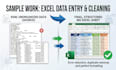 do professional data entry