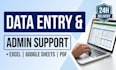 professional data entry and excel services