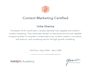 write SEO blog posts and articles