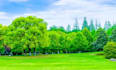 creat stunning ai nature landscape backgrounds