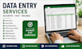 do accurate data enty, copy paste, excel, and web reserach