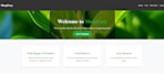 convert figma design to responsive website
