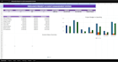 create professional custom excel spreadsheets