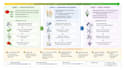 design scientific figures and graphical abstracts