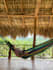 help you plan your trips and travel the world