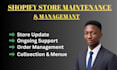 shopify store maintenance, management, and ongoing support