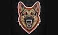 do embroidery digitizing, digitize image into dst, pes, jef, emb, pxf, ofm