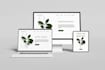 build squarespace website squarespace website redesign  squarespace ecommerce
