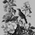 do a botanical illustration