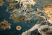amazing fantasy map or cartography