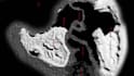 build a custom minecraft worldpainter survival map