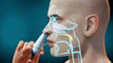 create 3d medical animation, anatomy, and healthcare explainer videos