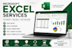 professional microsoft excel data entry