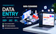 do expert data entry, data cleaning, manipulation, and visualization