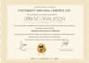 design high school, university duplicate, college certificate and transcript