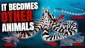 design dramatic animal and wildlife youtube thumbnails