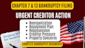 prepare chapter 7 or 13 bankruptcy documents for urgent filing