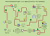 design creative infographics and posters in canva