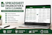 do accurate data entry and microsoft excel tasks