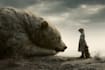 professional photo manipulation and editing