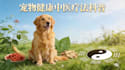 write engaging tcm pet health articles and blog posts