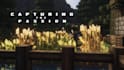 create professional minecraft cinematics