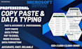 do professional excel data entry