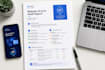 do a professional UI UX audit on your website