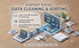 do real estate excel data entry, data cleaning, and copy paste work