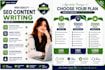 write professional SEO content