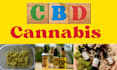 write SEO gardening articles and cbd content for your blog