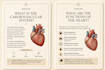design aesthetic medical flashcards, study notes and edu